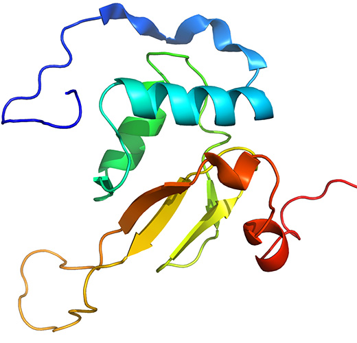 HIV accessory protein negative regulatory factor