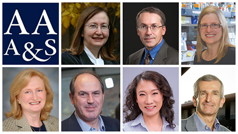 AAAS elects new members