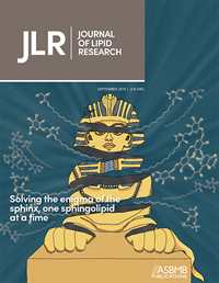 JLR_COVER_SPHINX_2019_V1.png