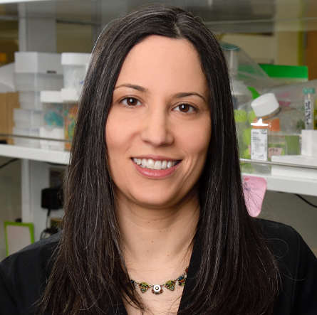 Alison Bernstein, an assistant professor of translational neuroscience at Michigan State University, is a founding member of SciMoms.