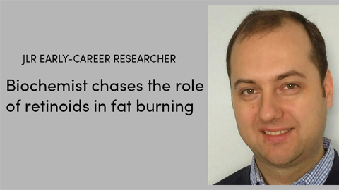 Biochemist chases the role of retinoids in fat burning