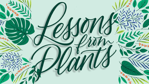 Lessons from plants: A changing environment