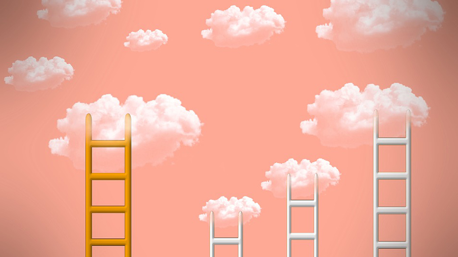 ladder-Primary-900x506-(1).jpg ladder-Primary-900x506-(1).jpg