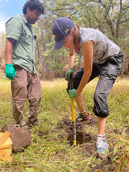 Marie Schoelmerich (Postdoc) and Rohan Sachdeva (Bioinformatician) collecting soil samples from the vernal pool field site in California, 2021.