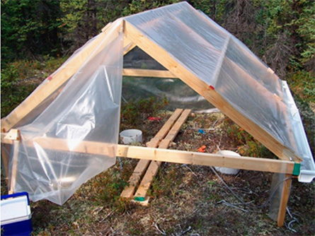 A greenhouse used for boreal soil warming experiments reported in Kathleen Treseder’s 2008 publication in Global Change Biology.