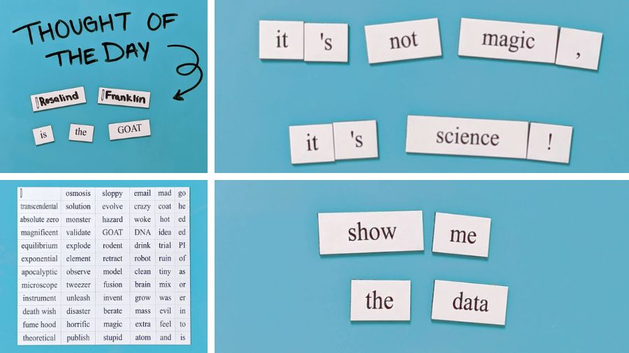 These magnets from GeniusLabGear.com feature lots of technical words and some that are just for fun. They’d make a great gift for anyone who might need a break from the bench to share jokes, prose and poetry about science.