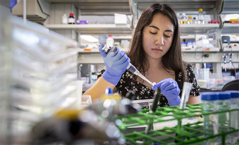 Clarissa Nuñez joined the ASBMB Student Chapter in her first year at New Mexico State University. Now she’s pursuing a Ph.D. in cell and molecular biology at the University of Texas Southwestern.