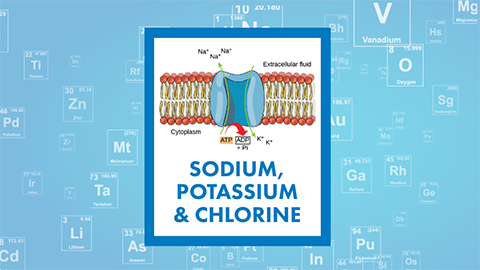 For March, it’s a renal three-fer: sodium, potassium and chlorine
