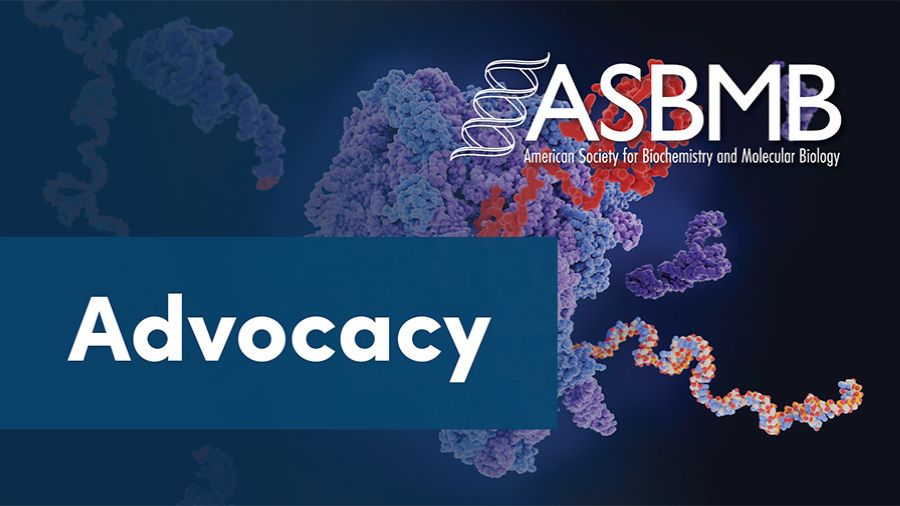 Seven steps to advocating in your home state