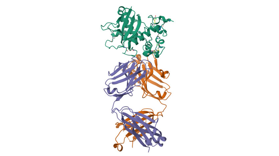 Glow-based assay sheds light on disease-causing mutations