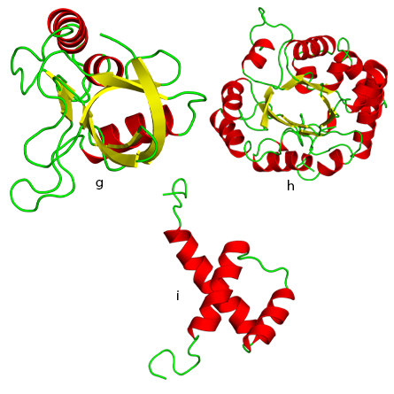 g. OB fold. h. TIM beta/alpha barrel fold. i. DNA/RNA-binding 3-helical bundle fold.