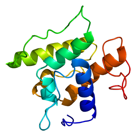 JLR Protein TAGLN PDB 1ujo