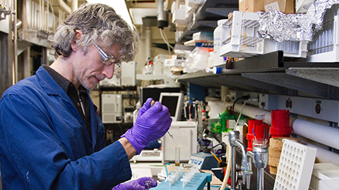 Technicians and lab managers play essential roles in academic research labs