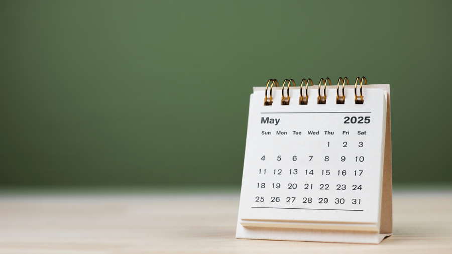 Upcoming opportunities