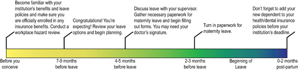 Feature_Postdocs_Maternity_timeline