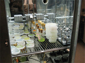 features_synthetic_biology1 features_synthetic_biology1