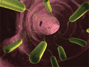 features_synthetic_biology2 features_synthetic_biology2
