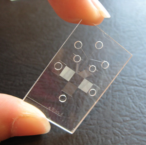 western_blot_microfluidic_device