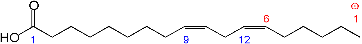 Chemical structure of linoleic acid