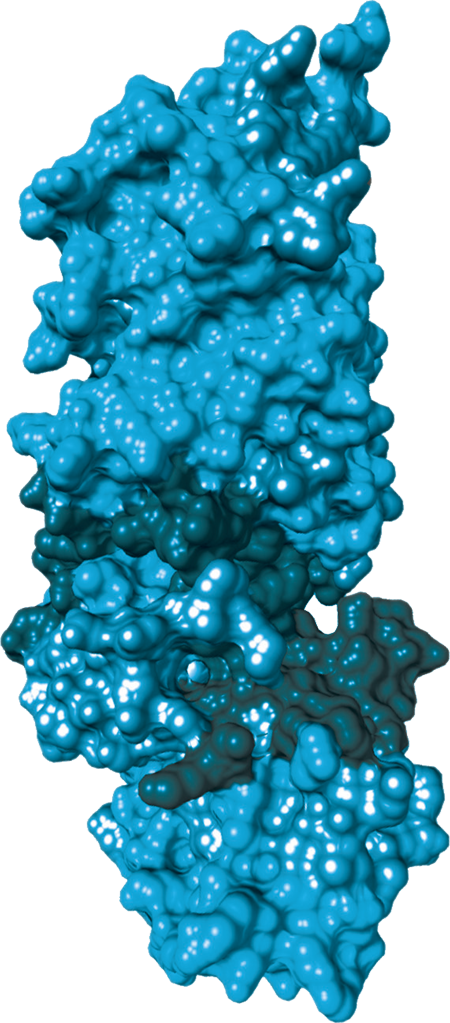 Blue protein structure, generic