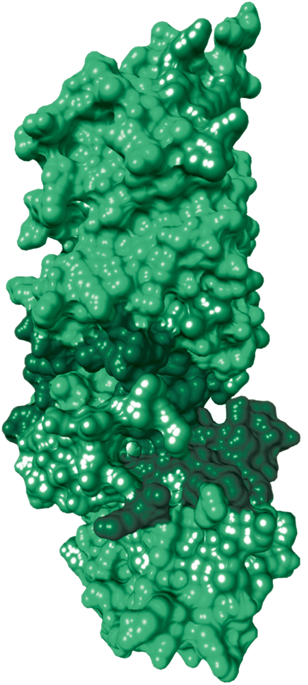 Green protein structure, generic