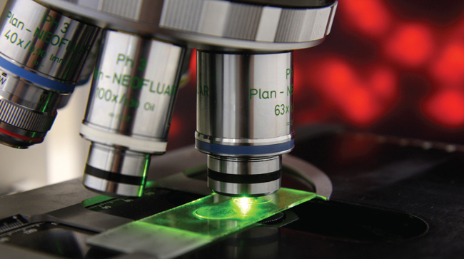 stock photo of a microscope stock photo of a microscope