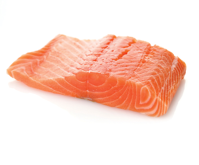 salmon