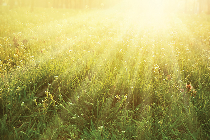 sunlight sunlight