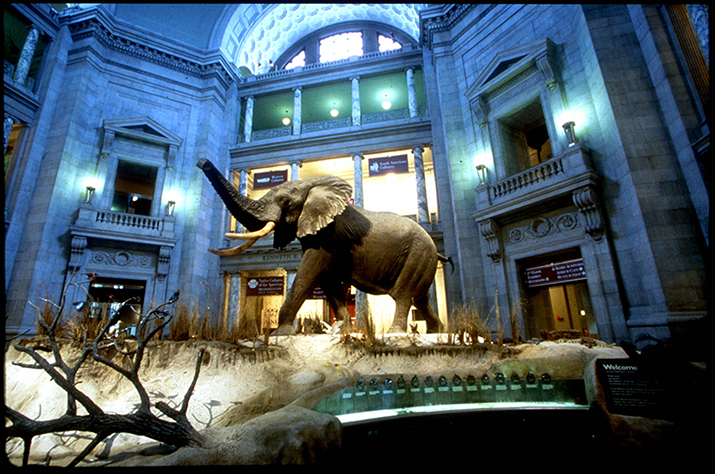 Rotunda at the Smithsonian