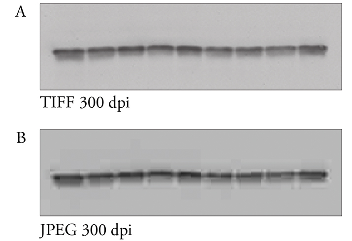 DueDilligence_Figure1