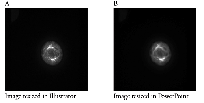 DueDilligence_Figure2