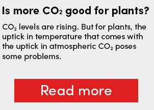 Is more CO2 good for plants?