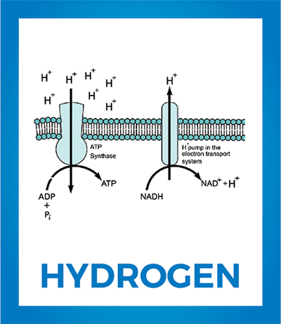 Hydrogen