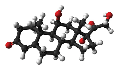 Ball-and-stick model represents a molecule of cortisol