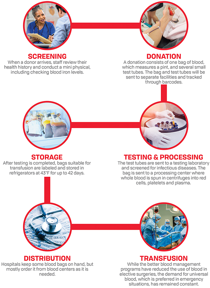 Blood donation process from screenging to transfusion