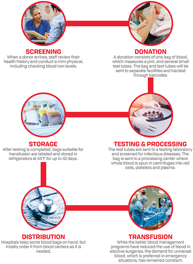 Blood donation process from screenging to transfusion Blood donation process from screenging to transfusion
