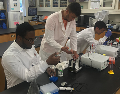 Undergraduates at  Hampden-Sydney College in Virginia, work on a summer project.