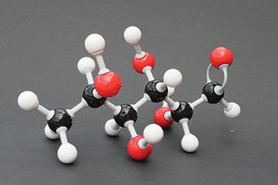 Fucose molecule Fucose molecule