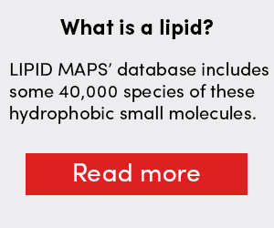 What is a lipid?