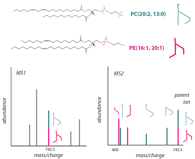 Distinguishing structural isomers