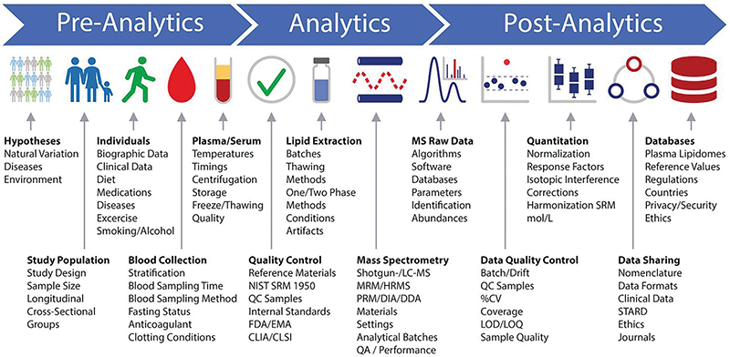 A lipidomics workflow schematic