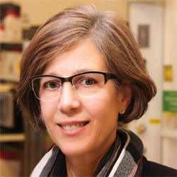 Jean Schaffer