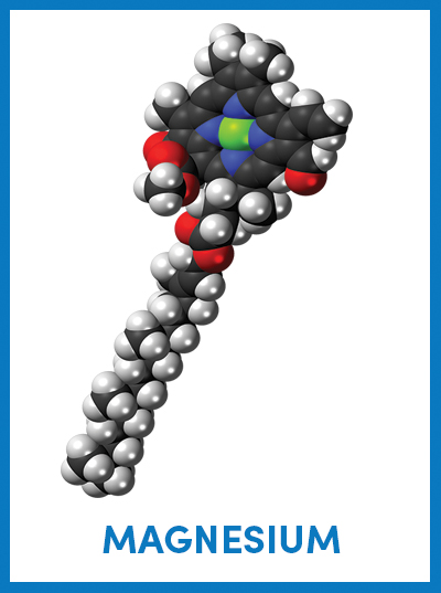 Magnesium Magnesium