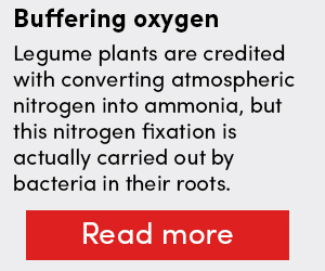 Buffering oxygen SB
