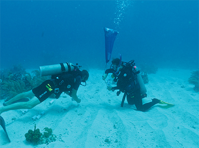 Paul Jensen and graduate student Nastassia Patin collect sediment samples in 2014 at the Smithsonian field station in Carrie Bow Cay, Belize.