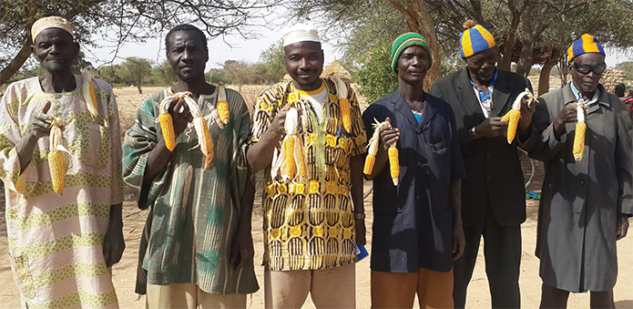 Farmers in the Goennega village