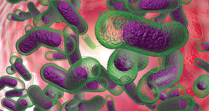 Bacterial biofilm adhesion