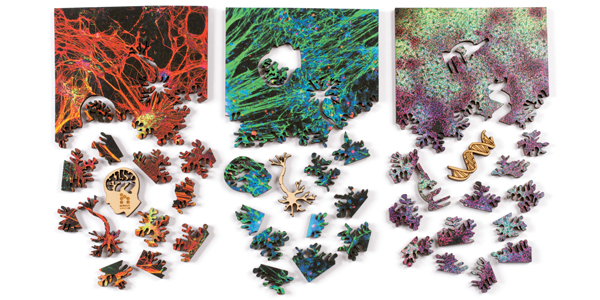 Microscopic art puzzles