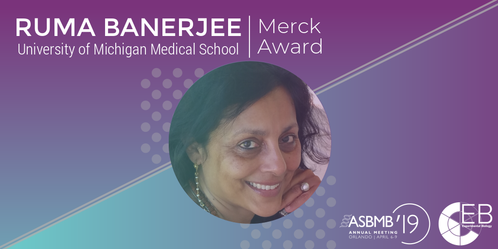 Ruma Banerjee honored for discoveries in vitamin B12 and H2S signaling