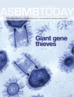 ASBMB Today November 2019